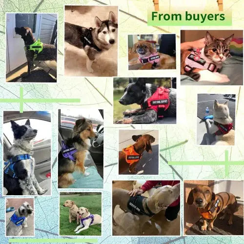 voopet Emotional Support Dog Harness, Professional Service Dog Vest Harness for Small Medium Large Dogs, Reflective Breathable and Adjustable No Pull/Choke ESA Essential Harness by VOOPET