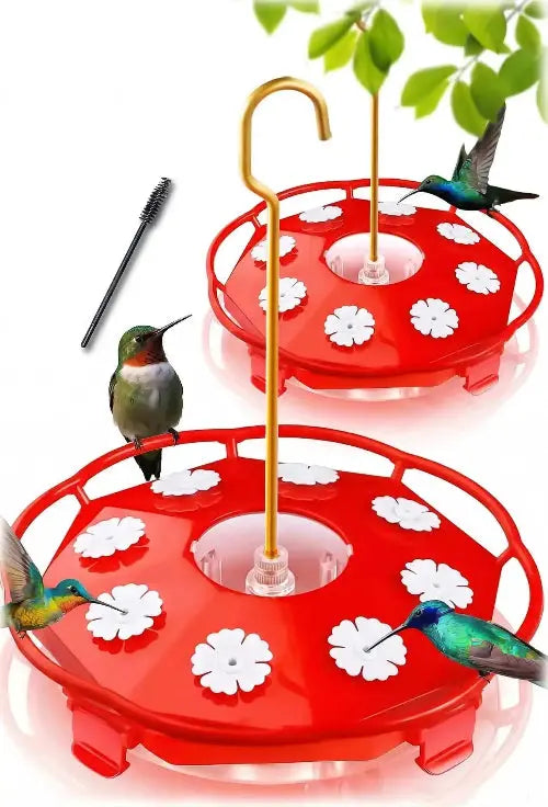 Hummingbird Feeder by eWonLife