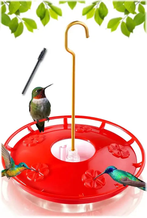Hummingbird Feeder by eWonLife