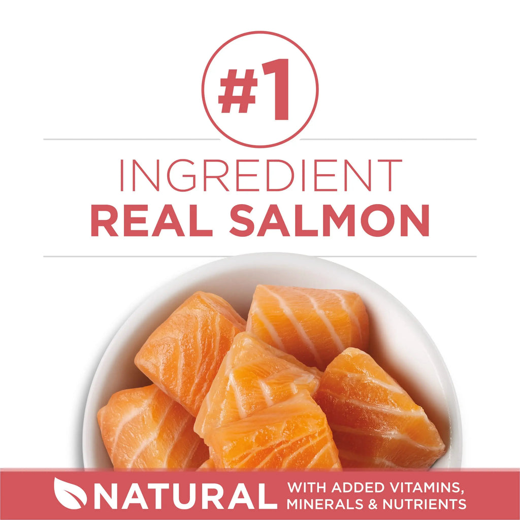 Purina ONE Natural Low Fat, Indoor Dry Weight Control High Protein Cat Food Plus Indoor Advantage with Real Salmon - 16 lb. Bag - FurrBaby Necessities