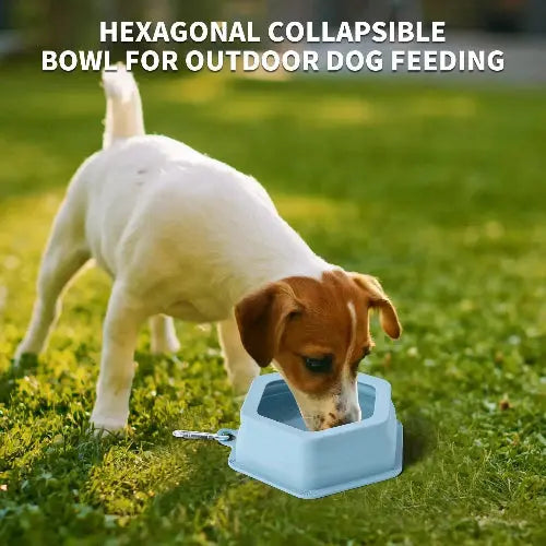 No Splash Dog Travel Bowls for Cars, Spill Proof Collapsible Dogs Water and Food Feeder Dispenser Integrated Molding Portable Cat Dish for Pet Vehicle Road Trips by SLSON