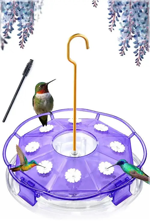 Hummingbird Feeder by eWonLife
