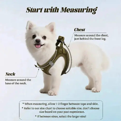 No Pull Dog Puppy Harness and Leash Set Reflective Mesh Vest XX-Small by YIMEIS