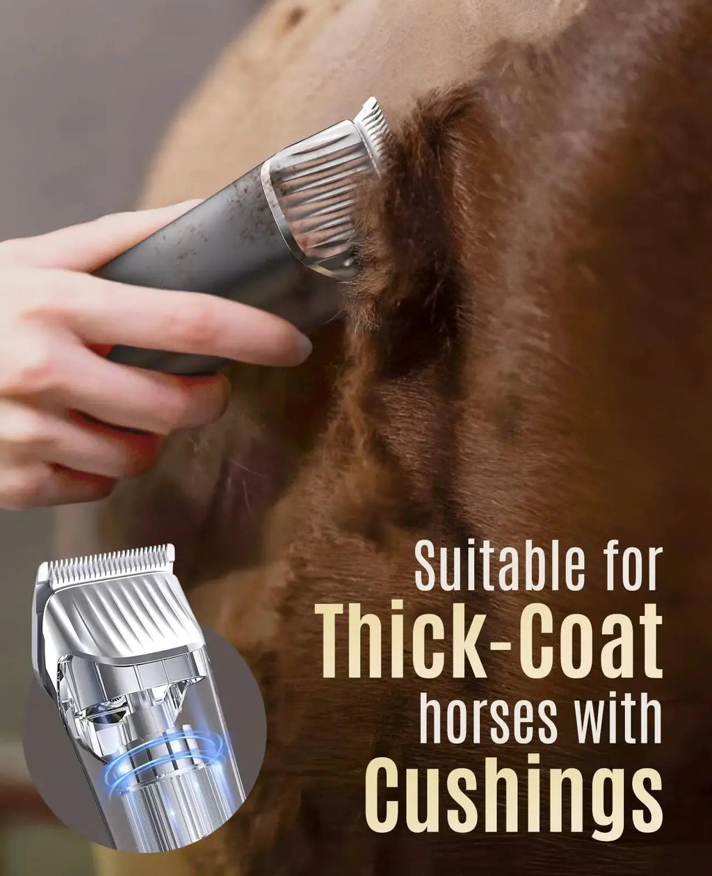 oneisall Cordless Horse Clippers,Low Noise 2 Speed Grooming Clippers,Horse Trimmer Shaver Kit for Matted Long Hair,Detachable Stainless Steel Blade Grooming Kit for Thick Coat by oneisall