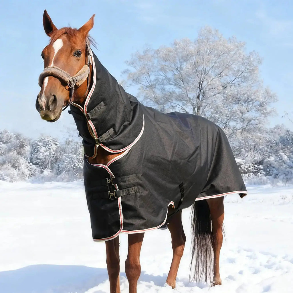 Equoray Equoray Horse Fly Sheet Waterproof Rainproof Breathable Sheet with Neck Cover, Lightweight Polyfill for Cool Weather, Perfect for Spring, Fall & Mild Winter, Black by Equoray