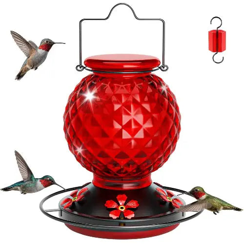 Hummingbird feeders by HTHCSEFL