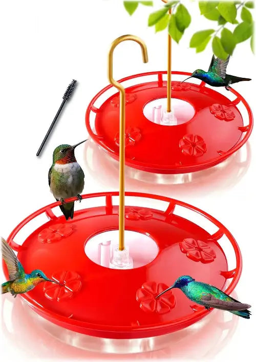 Hummingbird Feeder by eWonLife