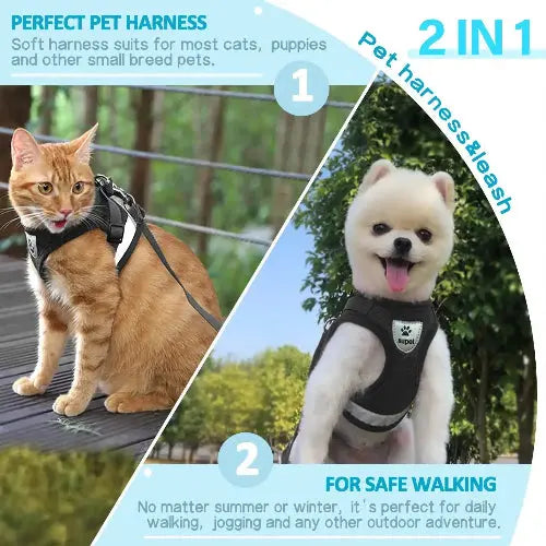 Supet Cat and Small Dog Harness Set - Soft Mesh Adjustable Cat Vest with Reflective Strap for Kitten, Puppy, Rabbit by Supet