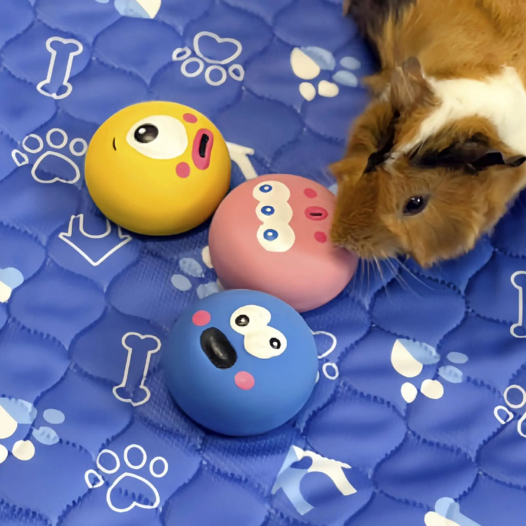 BESNEW Natural Rubber Squeaker Toys for Ferret,High Elasticity Ferret Latex Squeaker Balls 3 Pack,Tough Teething Toys Big Eyes Printed Toy Ball for Small Dogs,Easy to Clean by BESNEW