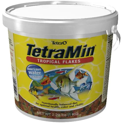 TetraMin Nutritionally Balanced Tropical Flake Food for Tropical Fish by Tetra
