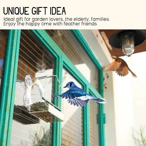 Mrcrafts Window Bird Feeder for Outside with Strong Suction Cups, Fits for Cardinals, Finches, Chickadees etc. by Mrcrafts