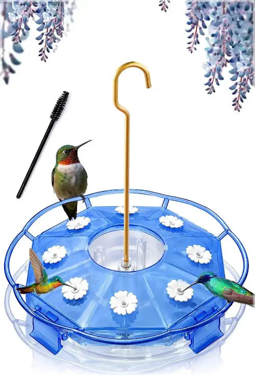 Hummingbird Feeder by eWonLife