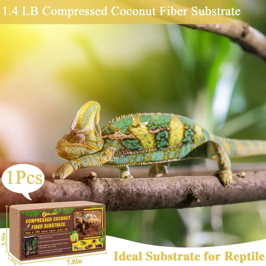 ZeeDix Coconut Fiber Substrate, 100% Organic Coconut Husk Coco Coir Brick Terrarium Bedding for Reptiles, Tortoise, Bearded Dragon, Leopard Gecko, Snake, Hermit Crabs, Frogs, Tarantula by ZeeDix