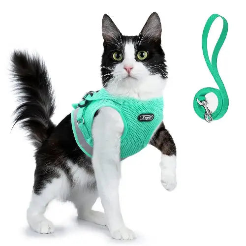 Supet Cat and Small Dog Harness Set - Soft Mesh Adjustable Cat Vest with Reflective Strap for Kitten, Puppy, Rabbit by Supet