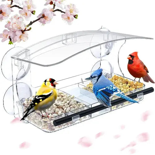 Mrcrafts Window Bird Feeder for Outside with Strong Suction Cups, Fits for Cardinals, Finches, Chickadees etc. by Mrcrafts