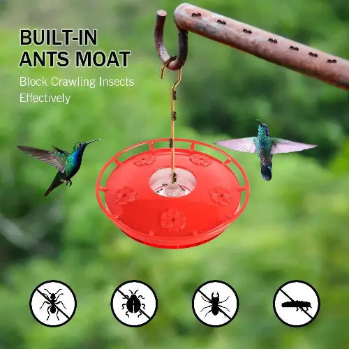 Hummingbird Feeder by eWonLife