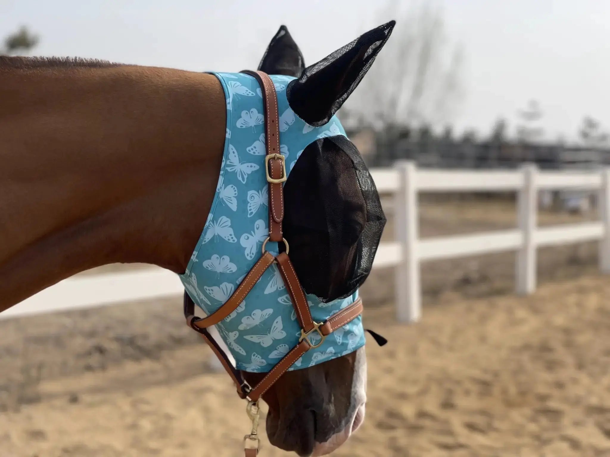 Horse Fly Mask Super Comfort Horse Fly Mask Elasticity Fly Mask with Ears We Only Make Products that Horses Like… by TGW RIDING