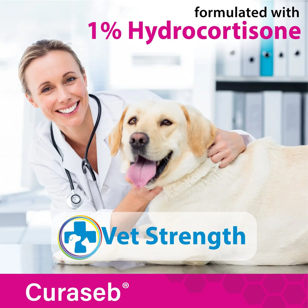 Curaseb Hydrocortisone Spray for Dogs & Cats – Instant Itch Relief for Hot Spots, Paw Licking, Rashes, Allergies, Bites, Dry Skin – with Soothing Aloe, 4oz by Curaseb