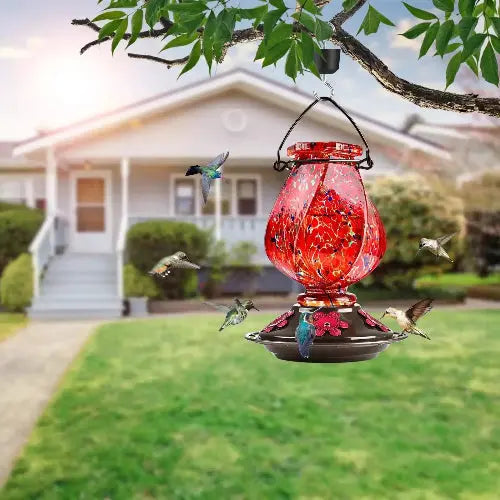 BOLITE Twisted Series Hand Blown Glass Hummingbird Feeders by BOLITE
