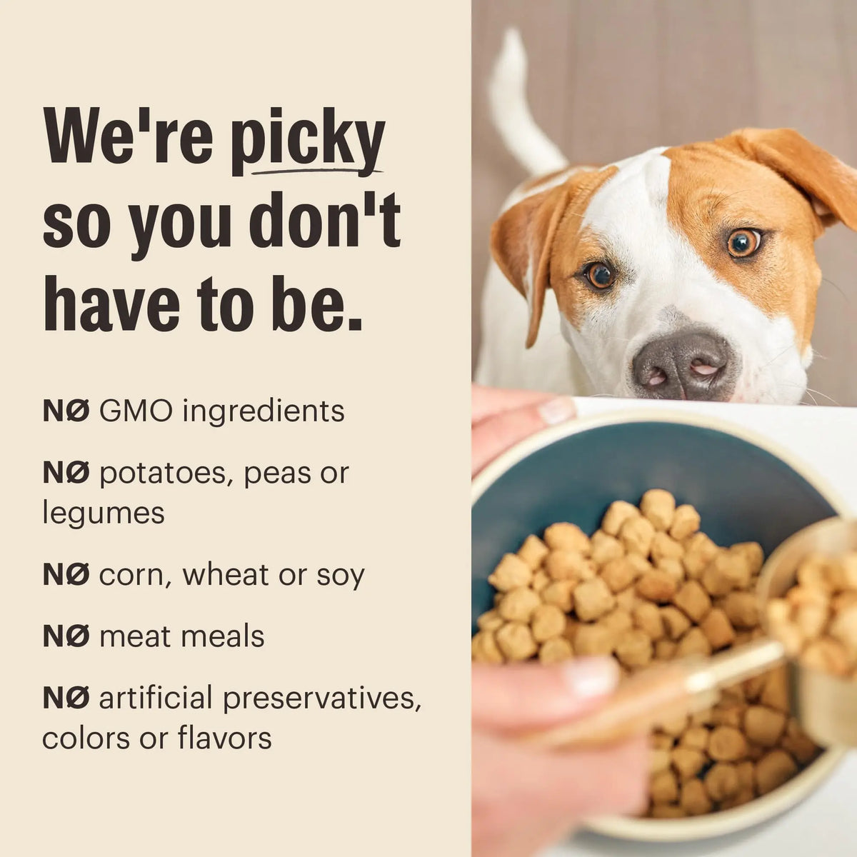 The Honest Kitchen Whole Food Clusters Puppy Whole Grain Chicken Dry Dog Food - FurrBaby Necessities