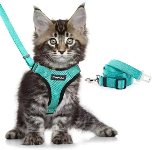 Adjustable Mesh Cat Harness Escape Proof With Car Seat Belt L - FurrBaby Necessities