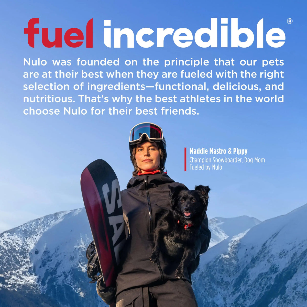 Nulo Freestyle Shredded Wet Canned Cat Food - FurrBaby Necessities