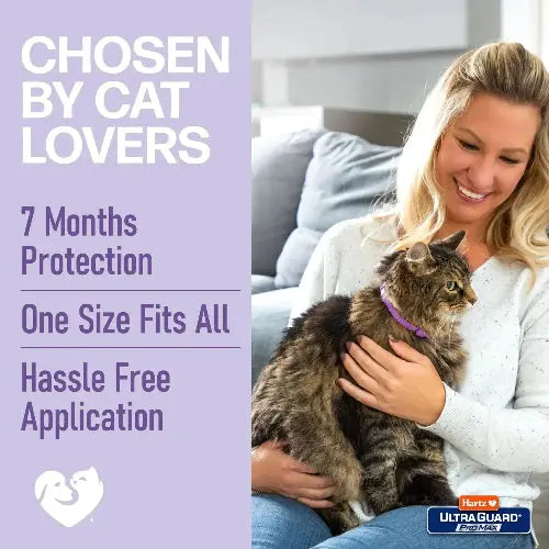 Hartz UltraGuard Flea & Tick Collar for Cats I 14 Months Protection by Hartz