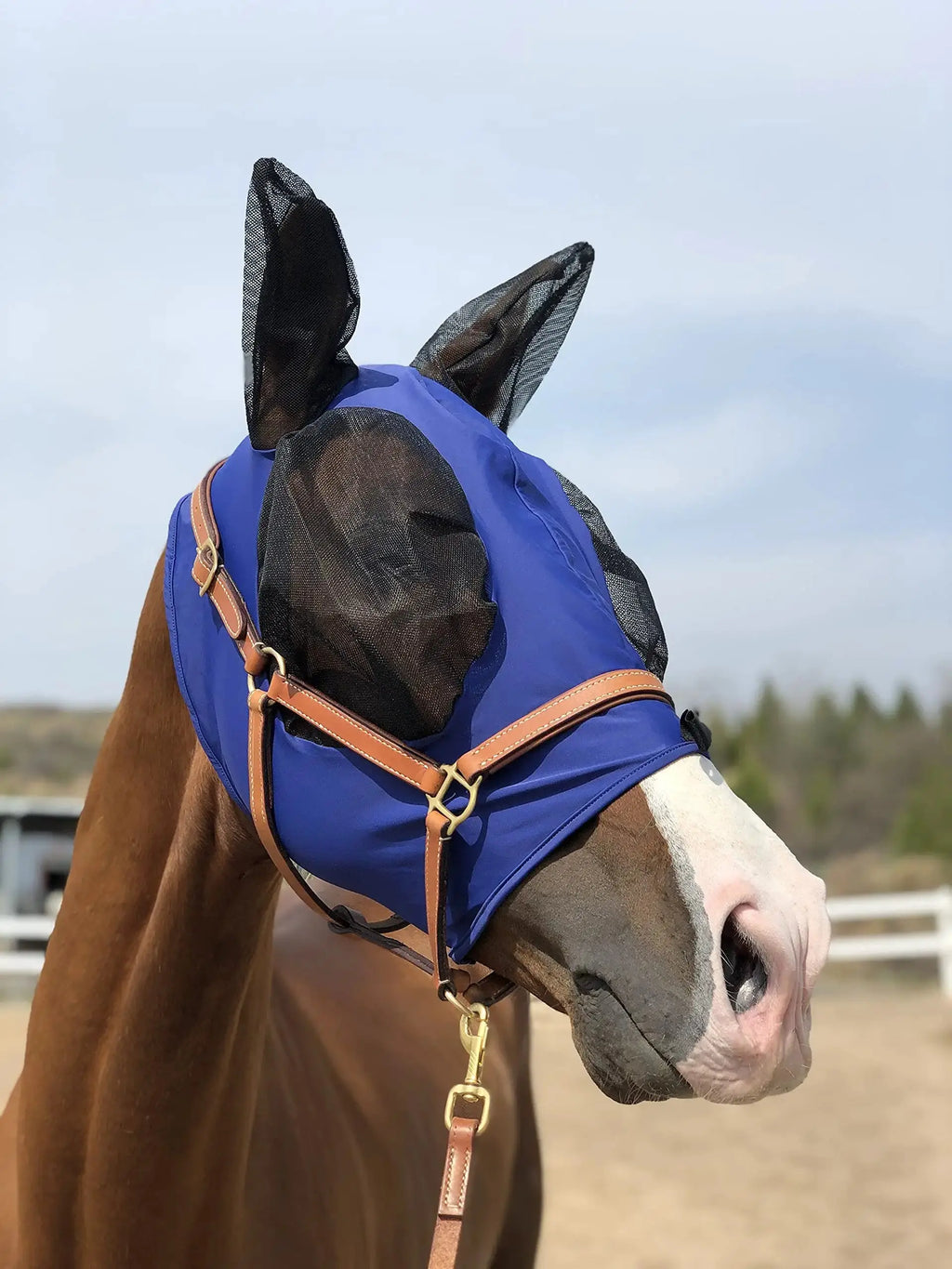 Horse Fly Mask Super Comfort Horse Fly Mask Elasticity Fly Mask with Ears We Only Make Products that Horses Like… by TGW RIDING