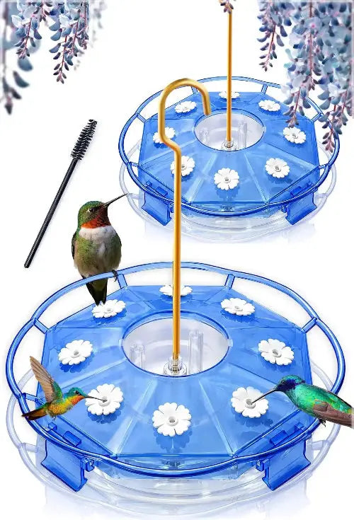 Hummingbird Feeder by eWonLife