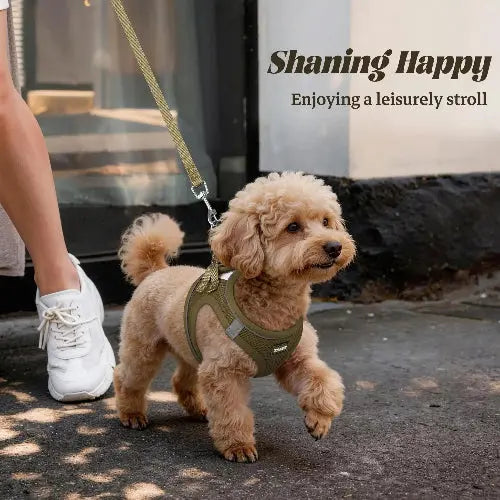 No Pull Dog Puppy Harness and Leash Set Reflective Mesh Vest XX-Small by YIMEIS