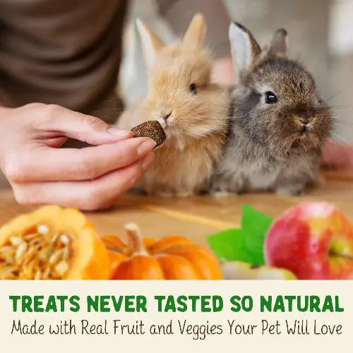Doc Eddies Probiotic Digestive Bites For Rabbits Guinea Pigs Timothy Hay Treats DOC EDDIE'S