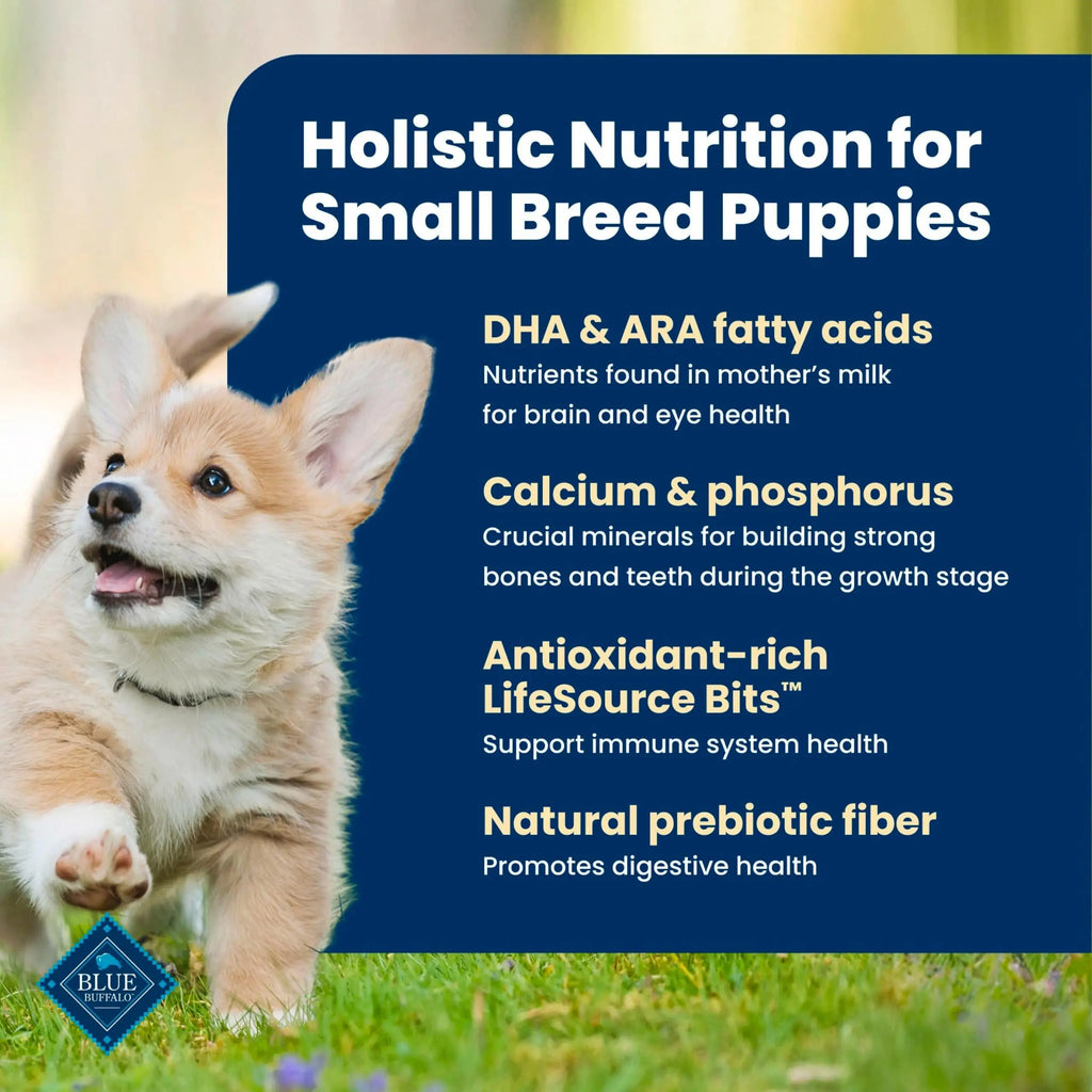 Blue Buffalo Life Protection Formula Small Dry Bag Dog Puppy Cognitive Development