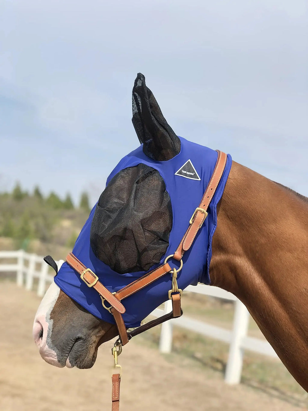 Horse Fly Mask Super Comfort Horse Fly Mask Elasticity Fly Mask with Ears We Only Make Products that Horses Like… by TGW RIDING