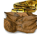 SunGrow Leaf Litter for Snakes, Indian Almond Catappa Leaves Substrate Maintain Humidity in Corn Snake and Ball Python Terrarium, Reptile Tank Decor Accessories by SunGrow