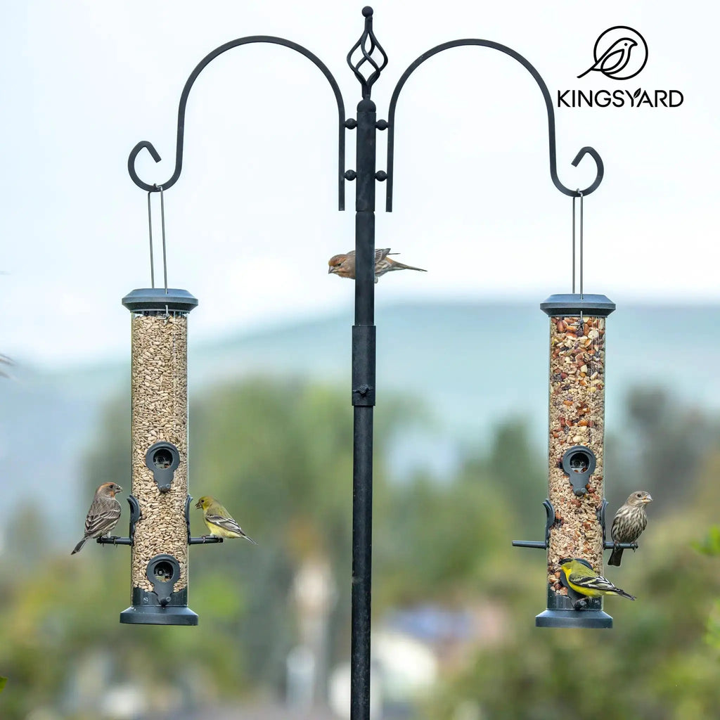 Kingsyard 2 Pack Tube Bird Feeders for Outdoors Hanging, Premium Hard Plastic Bird Feeder with 6 Feeding Ports by Kingsyard