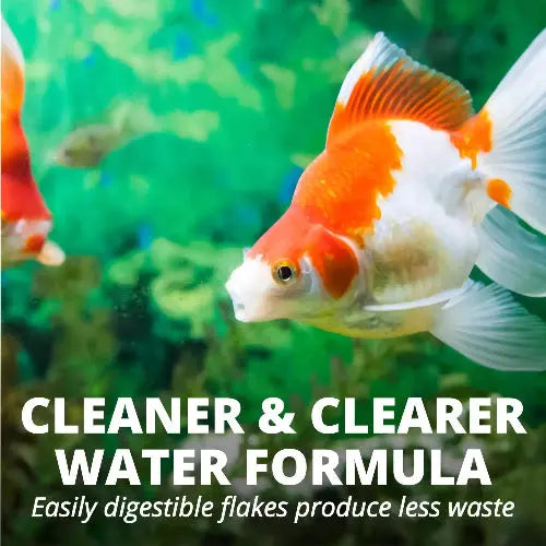 Tetra Goldfish Flakes, Nutritionally Balanced Diet for Aquarium Fish, Vitamin C Enriched Flakes by Tetra