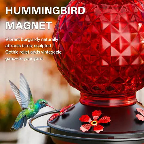 Hummingbird feeders by HTHCSEFL