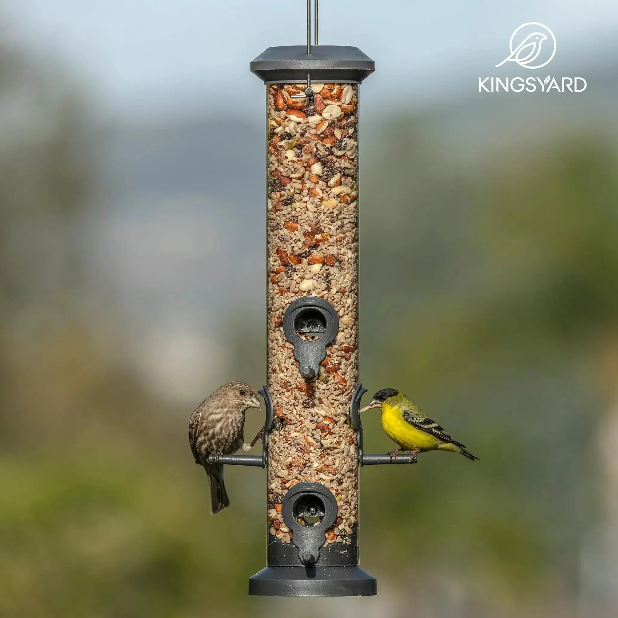 Kingsyard 2 Pack Tube Bird Feeders for Outdoors Hanging, Premium Hard Plastic Bird Feeder with 6 Feeding Ports by Kingsyard