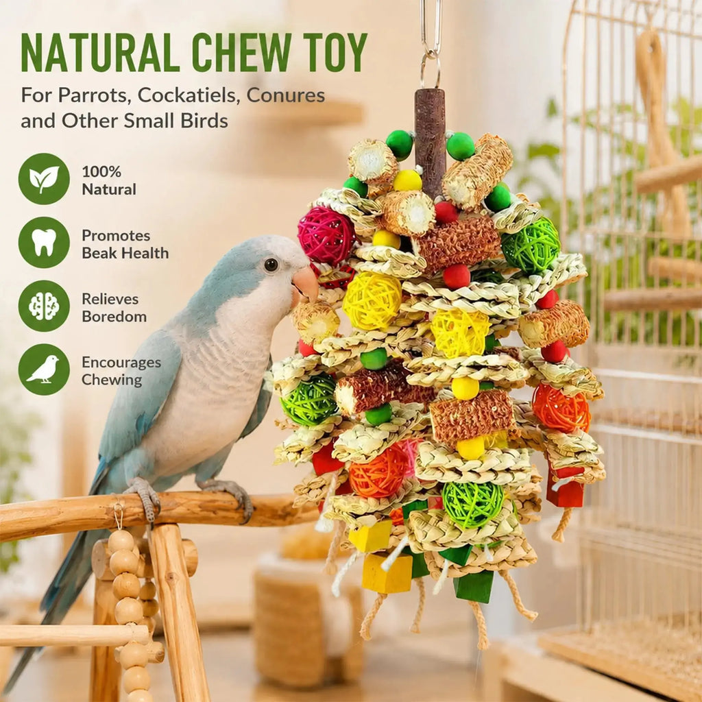 Hiwzitar Colorful Bird Cage Foraging Toy - Natural Chew Shredding Toy for Parakeets, Cockatiels, Conures (Safe Natural Material) by Hiwzitar