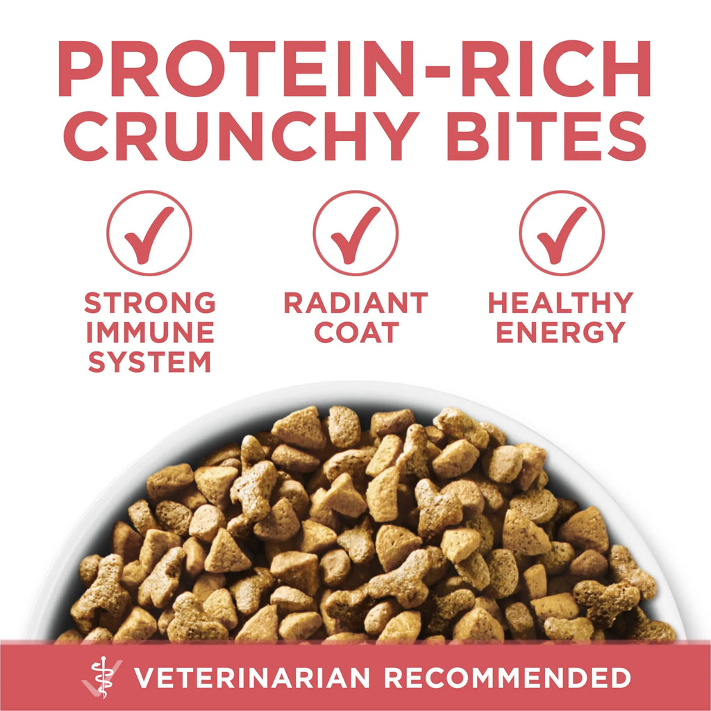 Purina ONE Natural Low Fat, Indoor Dry Weight Control High Protein Cat Food Plus Indoor Advantage with Real Salmon - 16 lb. Bag - FurrBaby Necessities