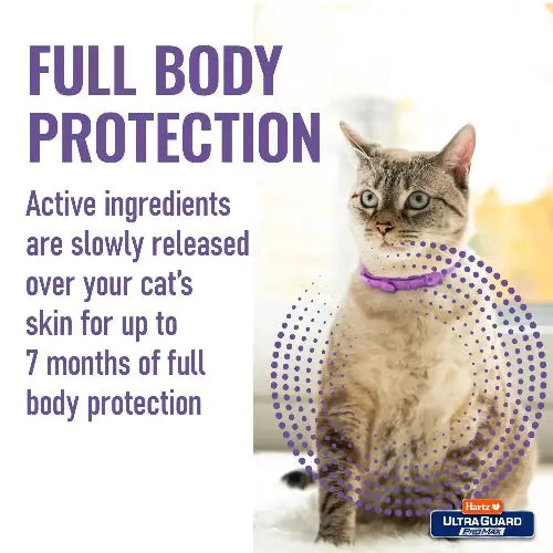 Hartz UltraGuard Flea & Tick Collar for Cats I 14 Months Protection by Hartz