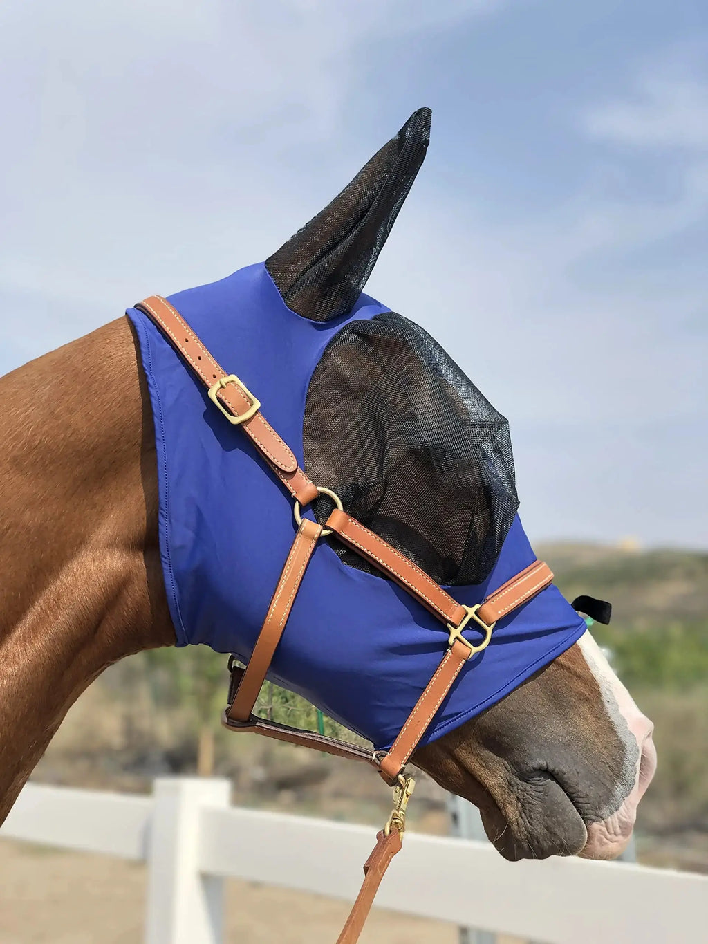 Horse Fly Mask Super Comfort Horse Fly Mask Elasticity Fly Mask with Ears We Only Make Products that Horses Like… by TGW RIDING