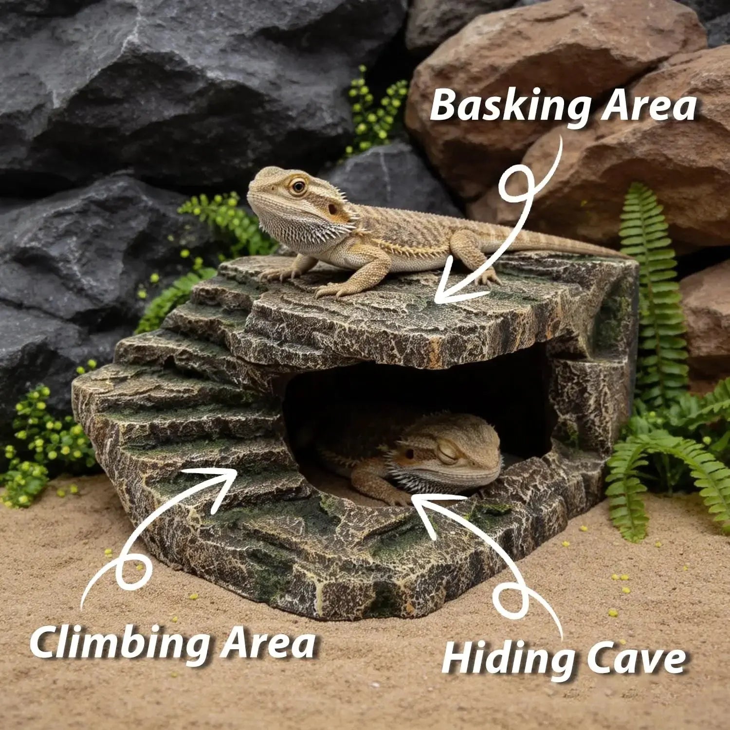 Resin Basking Platform and Reptile Hideout for Terrarium by REPTITRIP