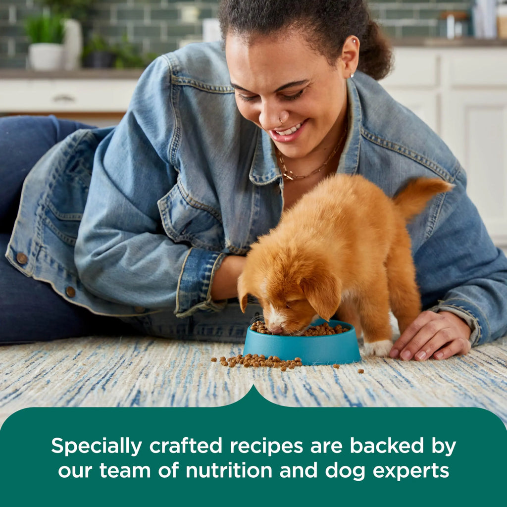 Nutrish Rachael Ray Puppy Dry Dog Food - FurrBaby Necessities