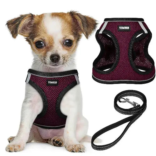 No Pull Dog Puppy Harness and Leash Set Reflective Mesh Vest XX-Small by YIMEIS