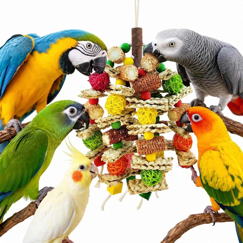 Hiwzitar Colorful Bird Cage Foraging Toy - Natural Chew Shredding Toy for Parakeets, Cockatiels, Conures (Safe Natural Material) by Hiwzitar