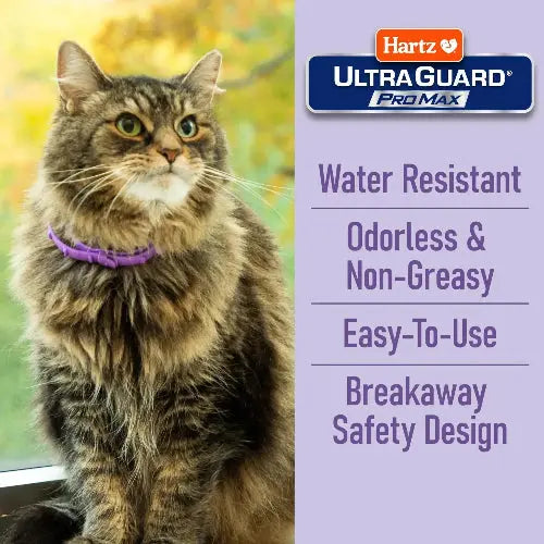 Hartz UltraGuard Flea & Tick Collar for Cats I 14 Months Protection by Hartz
