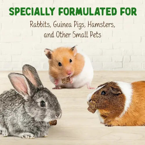 DOC EDDIE'S Digestive Bites - Plant-Based Small Animal Treats for Rabbits, Guinea Pigs, Hamsters, Gerbils, and More - Probiotics Supplement Made with Timothy Hay, Real Fruits, and Veggies by DOC EDDIE'S