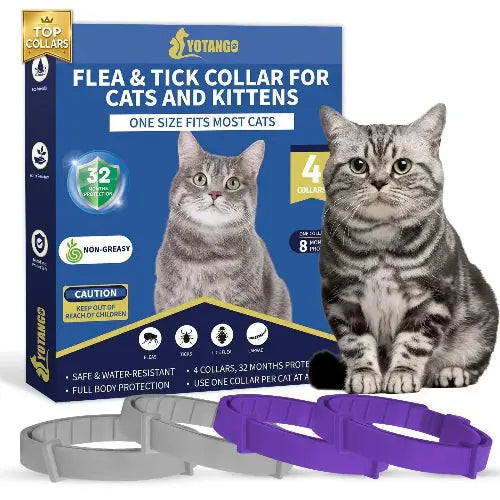 4 Pack Flea Collar for Cats YK by YOTANGO