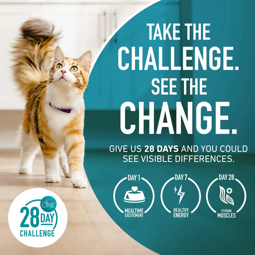 Purina ONE High Protein, Natural Senior Dry Cat Food, Indoor Advantage Senior+ - 16 lb. Bag Purina ONE